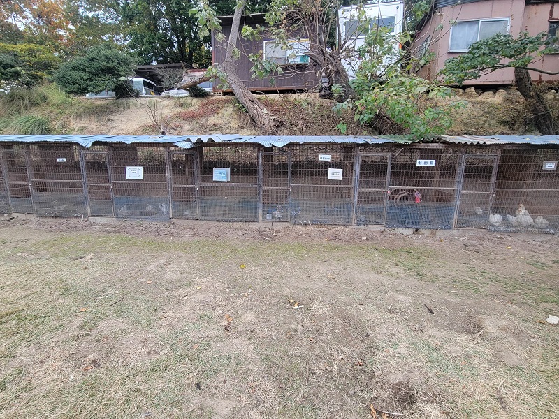 チャボ小屋|渋川動物公園