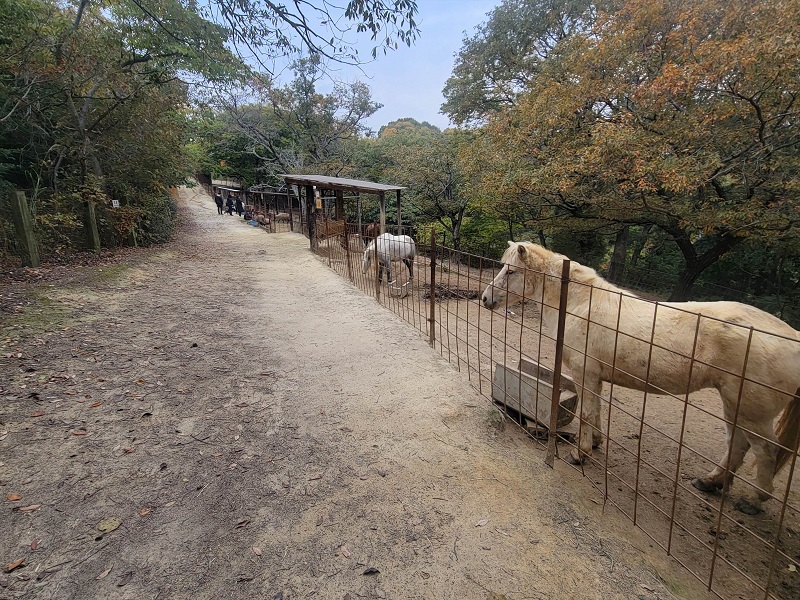 馬舎|渋川動物公園
