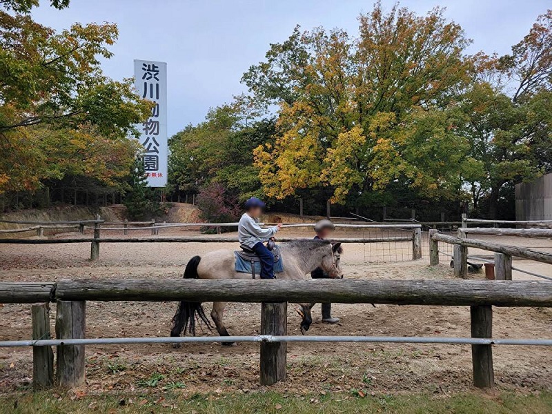 乗馬コーナー|渋川動物公園