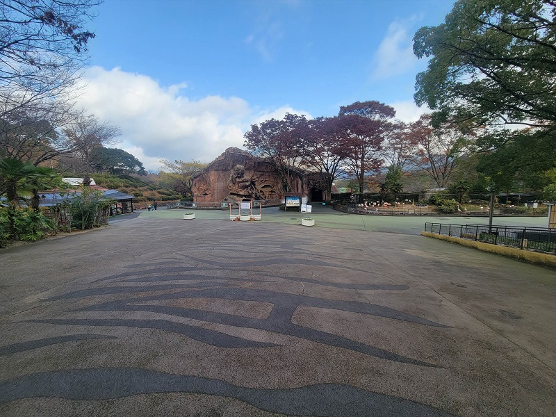 園内|広島市安佐動物公園(asazoo)