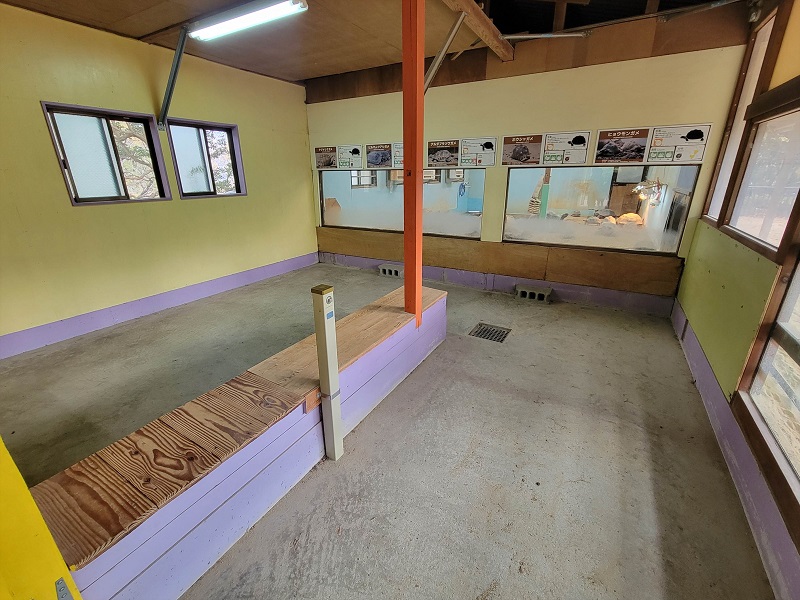 リクガメ館|広島市安佐動物公園(asazoo)