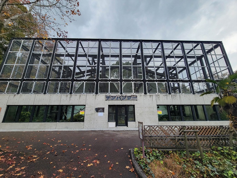 類人猿とサル|広島市安佐動物公園(asazoo)