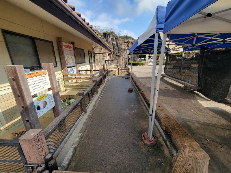 ふれあいコーナー|広島市安佐動物公園(asazoo)