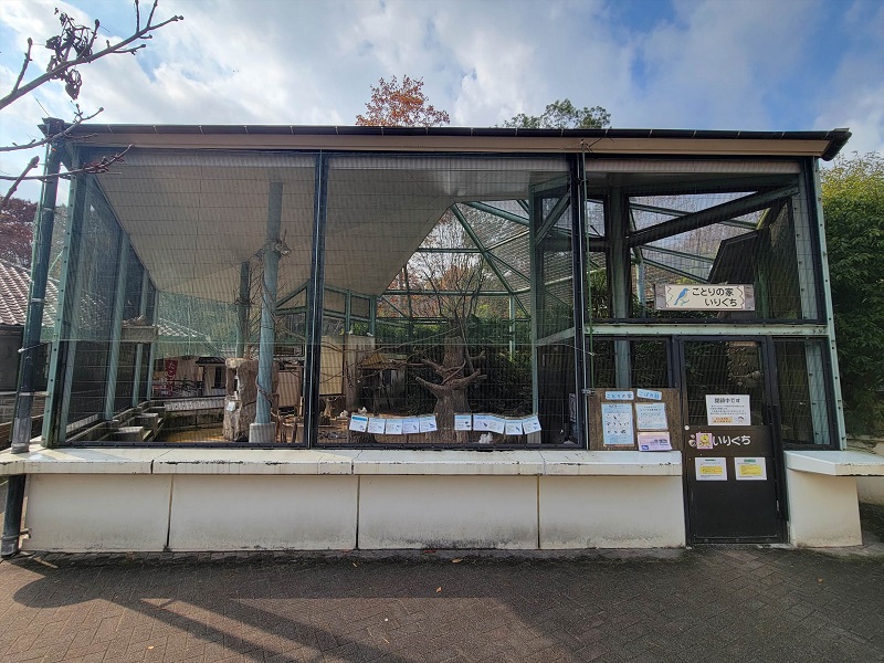 ことりの家|広島市安佐動物公園(asazoo)
