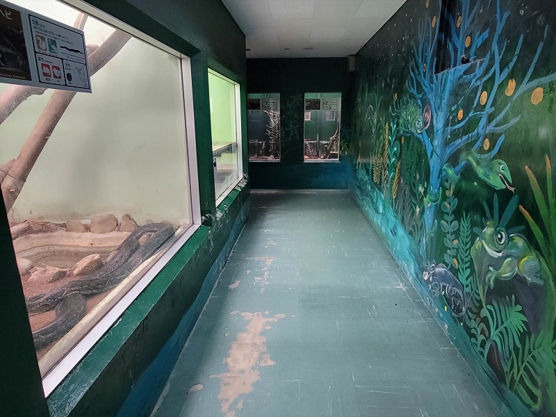 はちゅうるい館|広島市安佐動物公園(asazoo)