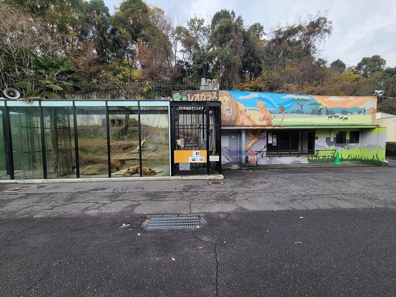 レオガラス|広島市安佐動物公園(asazoo)