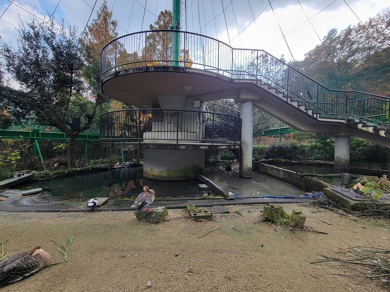 大鳥舎|広島市安佐動物公園(asazoo)